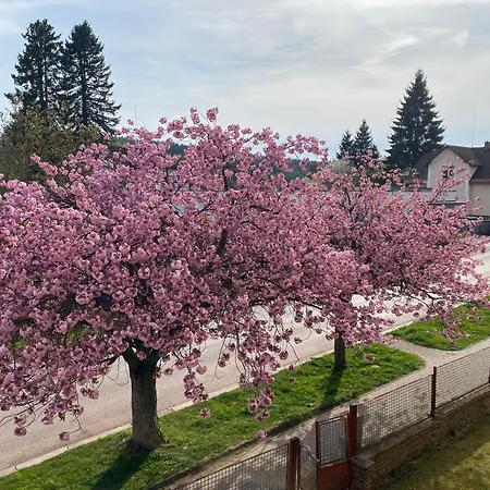 Kumburská - *