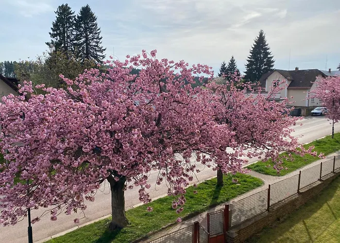 Kumburská - *